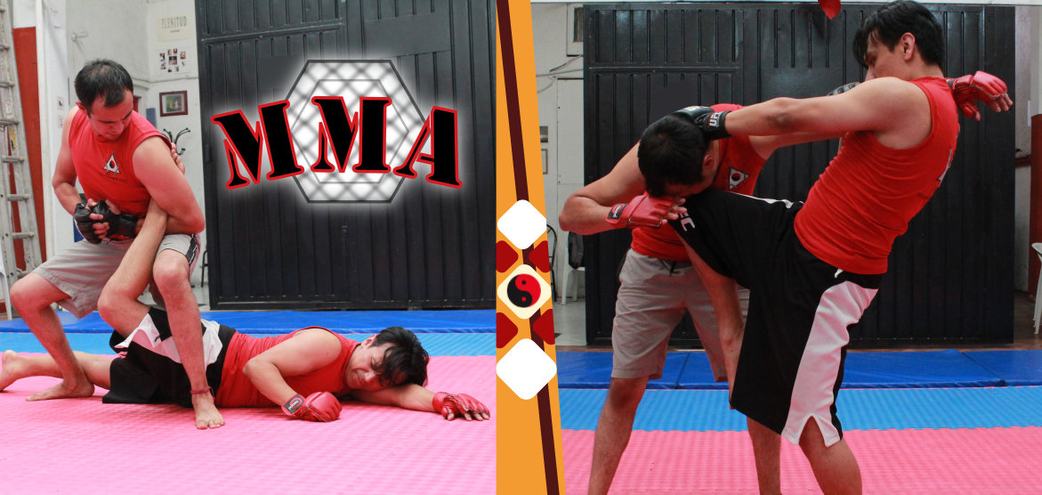 mma-principal.jpg