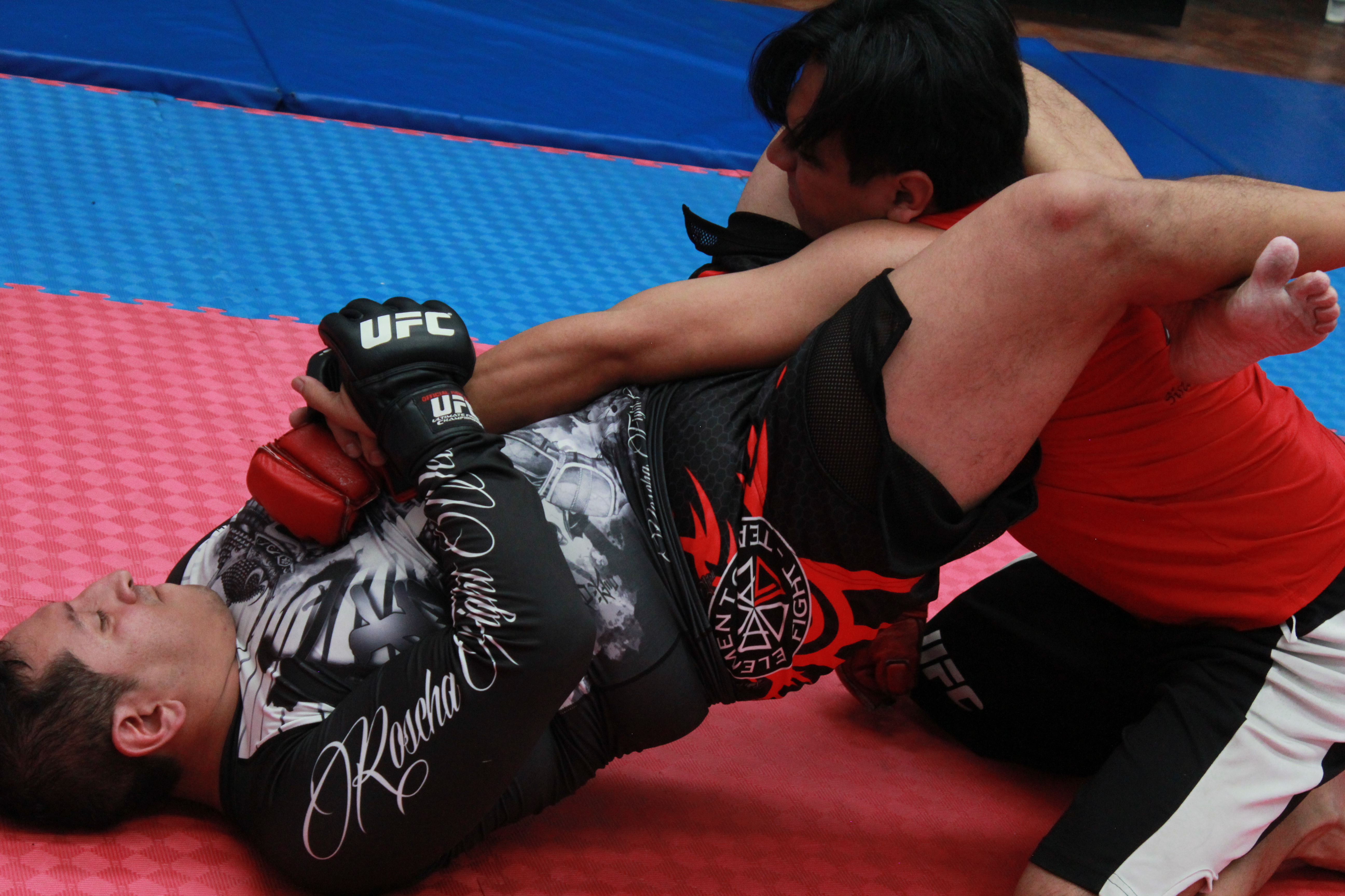 MIXED GRAPPLING