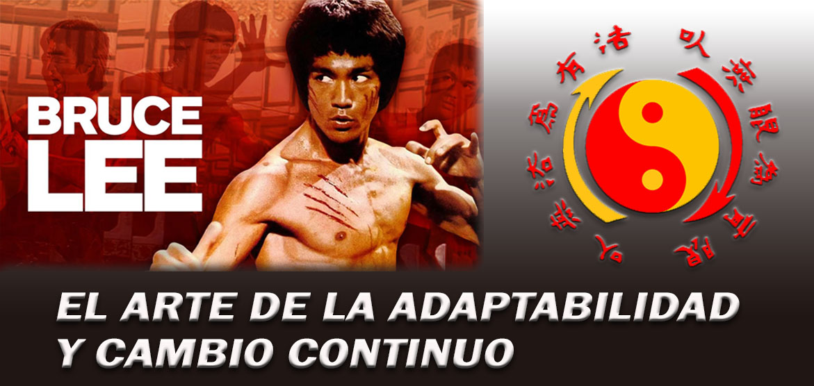 imgen-jkd-bruce-lee.jpg